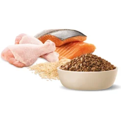 Online Advance - Dry ADVANCE - Multi Cat Chicken & Salmon with Rice Dry Cat Food (3kg)