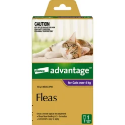 Best Advantage - Flea Treatment for Cats over 4kg (1pk)
