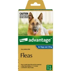 New Advantage - Flea Treatment for Dogs over 25kg (1pk)