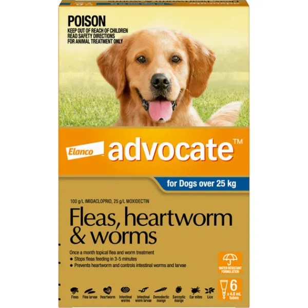 New Advocate - Dog over 25kg (6pk)