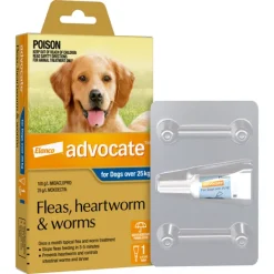 Fashion Advocate - Dog over 25kg (1pk)