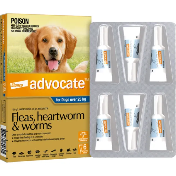 New Advocate - Dog over 25kg (6pk)