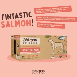 Outlet Big Dog Barf Big Dog - Tasmania Salmon for Dogs (3kg)