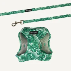New Dan and Sam Dan & Sam - Cat Step-in Harness & Lead (Lahana) - Small
