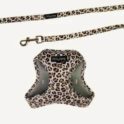 Best Dan and Sam Dan & Sam - Cat Step-in Harness & Lead (Wild One) - Small