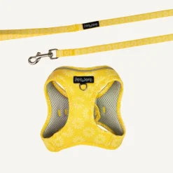 Clearance Dan and Sam Dan & Sam - Cat Step-in Harness & Lead (Wild Sunflower) - Large
