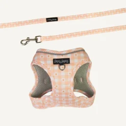 Best Dan and Sam Dan & Sam - Cat Step-in Harness & Lead (Daisy Picnic) - Small