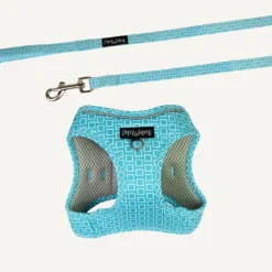 Outlet Dan and Sam Dan & Sam - Cat Step-in Harness & Lead (Grooving) - Small
