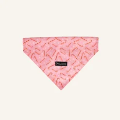 Discount Dan and Sam Dan & Sam - Dog Bandana (Candy Cane Kisses)