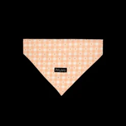Clearance Dan and Sam Dan & Sam - Dog Bandana (Daisy Picnic)