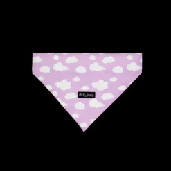 Discount Dan and Sam Dan & Sam - Dog Bandana (Dreamer)