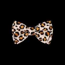 Clearance Dan and Sam Dan & Sam - Dog Bowtie (Wild One)