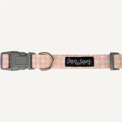 Best Dan and Sam Dan & Sam - Dog Collar (Daisy Picnic) - Large