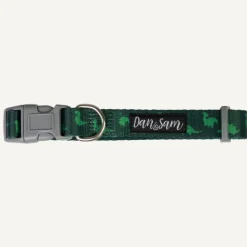 Sale Dan and Sam Dan & Sam - Dog Collar (Dinosaur Land) - Large