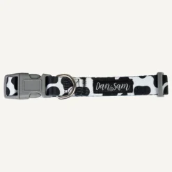 Hot Dan and Sam Dan & Sam - Dog Collar (Milkshake) - Medium