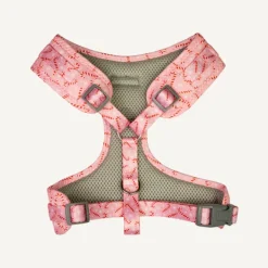 Fashion Dan and Sam Dan & Sam - Dog Harness (Candy Cane Kisses) - Medium