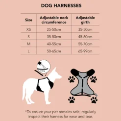 New Dan and Sam Dan & Sam - Dog Harness (Candy Cane Kisses) - Small