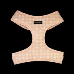 Fashion Dan and Sam Dan & Sam - Dog Harness (Daisy Picnic) - Large