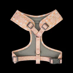 Discount Dan and Sam Dan & Sam - Dog Harness (Daisy Picnic) - X-Small
