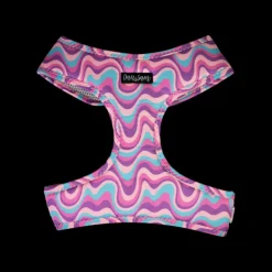 Fashion Dan and Sam Dan & Sam - Dog Harness (Disco Party) - Large