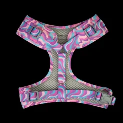 Fashion Dan and Sam Dan & Sam - Dog Harness (Disco Party) - Large
