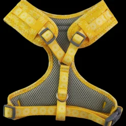 Online Dan and Sam Dan & Sam - Dog Harness (Wild Sunflower)