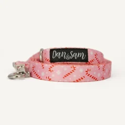Fashion Dan and Sam Dan & Sam - Dog Lead (Candy Cane Kisses) - Small