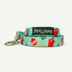 Clearance Dan and Sam Dan & Sam - Dog Lead (Christmas Wishes) - Large
