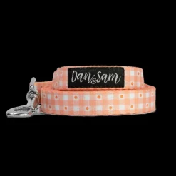 Fashion Dan and Sam Dan & Sam - Dog Lead (Daisy Picnic) - Large