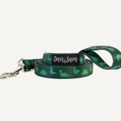Best Dan and Sam Dan & Sam - Dog Lead (Dinosaur Land) - Large