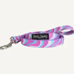 Online Dan and Sam Dan & Sam - Dog Lead (Disco Party) - Small