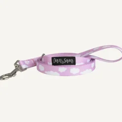Online Dan and Sam Dan & Sam - Dog Lead (Dreamer) - Small