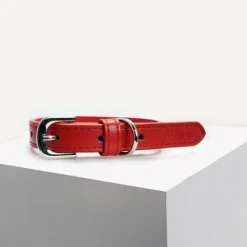 Fashion Dan and Sam Dan & Sam - Vegan Leather Dog Collar (Red)