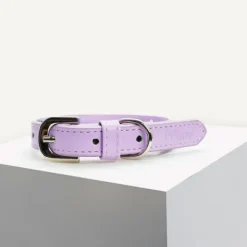 Clearance Dan and Sam Dan & Sam - Vegan Leather Dog Collar (Lilac)