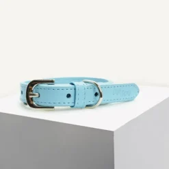 Discount Dan and Sam Dan & Sam - Vegan Leather Dog Collar (Blue)
