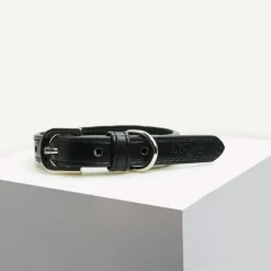 Hot Dan and Sam Dan & Sam - Vegan Leather Dog Collar (Black)