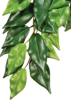 Discount Exo Terra - Forest Ficus (Large)