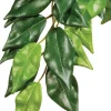 Best Exo Terra - Forest Ficus (Small)