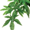 Clearance Exo Terra - Forest Plant Abuilton (Medium)