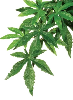 Fashion Exo Terra - Forest Plant Abuilton (Large)