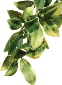 Fashion Exo Terra - Forest Plant Mandarin (Large)