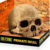Hot Exo Terra - Primate Skull (Large)