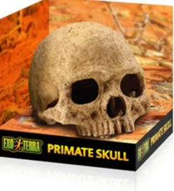 Hot Exo Terra - Primate Skull (Large)