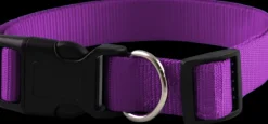 Discount Furwear - Basic Dog Collar (Purple)