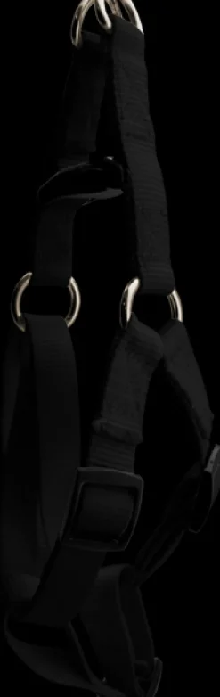 New Furwear - Basic Dog Harness (Black)
