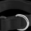 Discount Furwear - Padded Dog Collar (Black)