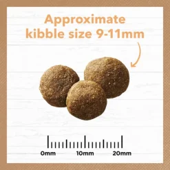 Best Ivory Coat - Dry Ivory Coat - Grain Free Dry Puppy Food Chicken (13kg)