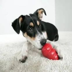 Clearance KONG - Classic Dog Toy (Large)