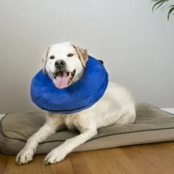 Sale KONG - Cushion Cloud Protective Collar (Small)