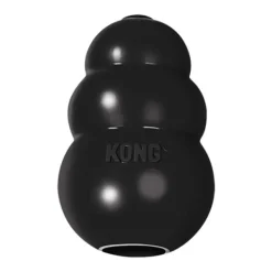 Online KONG - Extreme Dog Toy (Large)